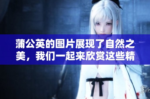 蒲公英的图片展现了自然之美，我们一起来欣赏这些精彩的瞬间吧