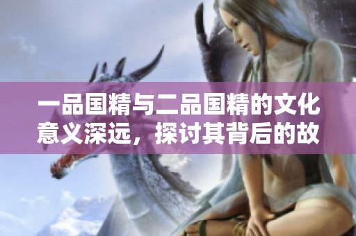 一品国精与二品国精的文化意义深远，探讨其背后的故事和价值
