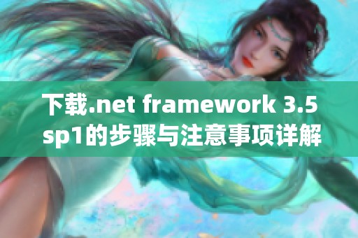 下载.net framework 3.5 sp1的步骤与注意事项详解
