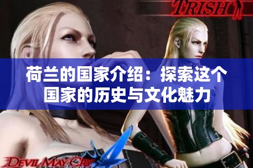 荷兰的国家介绍：探索这个国家的历史与文化魅力