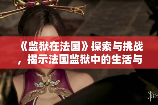 《监狱在法国》探索与挑战，揭示法国监狱中的生活与难题
