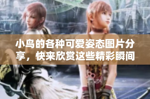 小鸟的各种可爱姿态图片分享，快来欣赏这些精彩瞬间吧