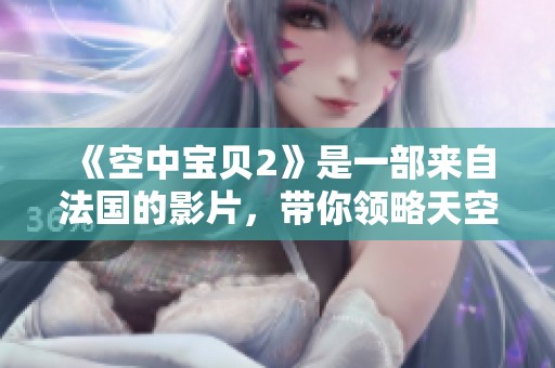 《空中宝贝2》是一部来自法国的影片，带你领略天空中的奇妙冒险。