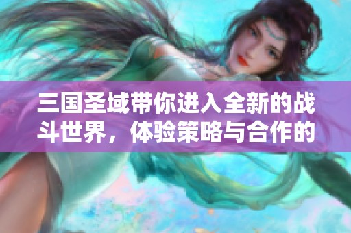 三国圣域带你进入全新的战斗世界，体验策略与合作的完美结合