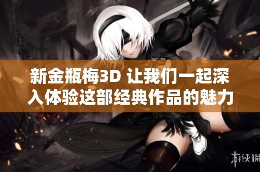 新金瓶梅3D 让我们一起深入体验这部经典作品的魅力与震撼