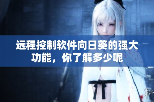 远程控制软件向日葵的强大功能，你了解多少呢