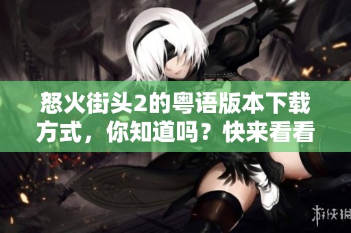 怒火街头2的粤语版本下载方式，你知道吗？快来看看如何获取吧！