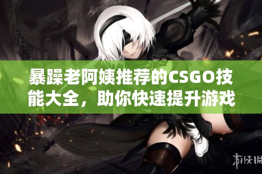 暴躁老阿姨推荐的CSGO技能大全，助你快速提升游戏水平