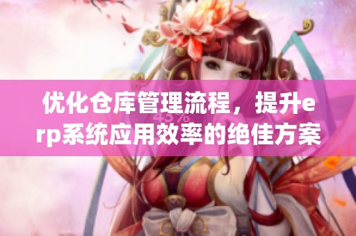 优化仓库管理流程，提升erp系统应用效率的绝佳方案