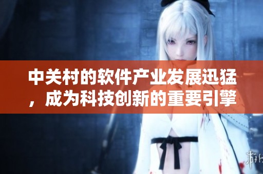 中关村的软件产业发展迅猛，成为科技创新的重要引擎与平台