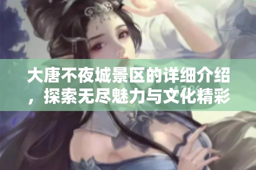 大唐不夜城景区的详细介绍，探索无尽魅力与文化精彩