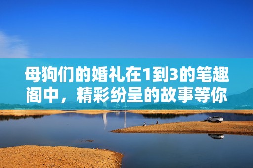 母狗们的婚礼在1到3的笔趣阁中，精彩纷呈的故事等你来阅读！