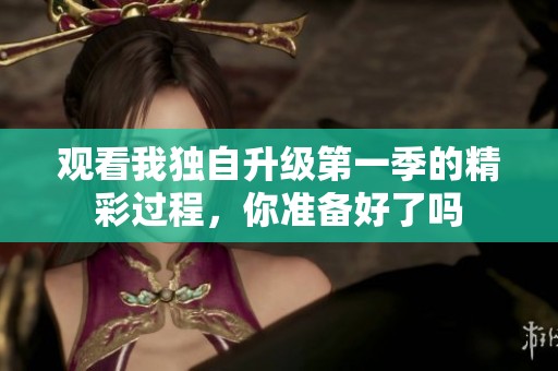 观看我独自升级第一季的精彩过程，你准备好了吗