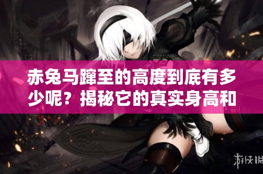 赤兔马蹿至的高度到底有多少呢？揭秘它的真实身高和重量。