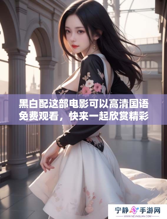 黑白配这部电影可以高清国语免费观看，快来一起欣赏精彩的剧情吧
