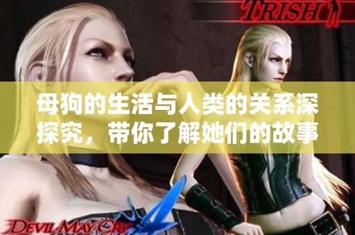 母狗的生活与人类的关系深探究，带你了解她们的故事与情感