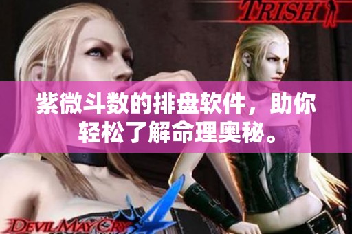 紫微斗数的排盘软件，助你轻松了解命理奥秘。