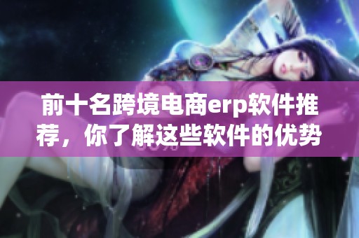 前十名跨境电商erp软件推荐，你了解这些软件的优势吗