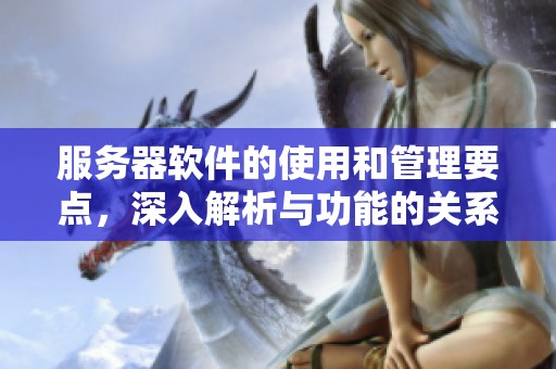 服务器软件的使用和管理要点，深入解析与功能的关系与应用。