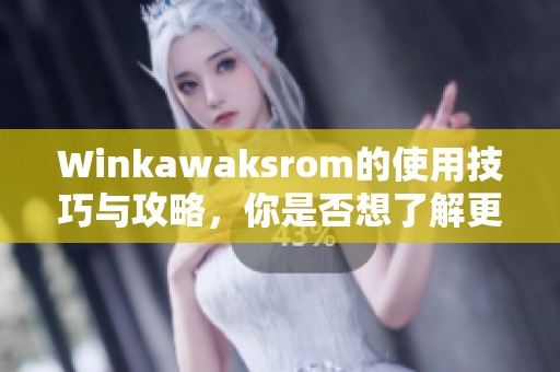 Winkawaksrom的使用技巧与攻略，你是否想了解更多关于它的内容呢