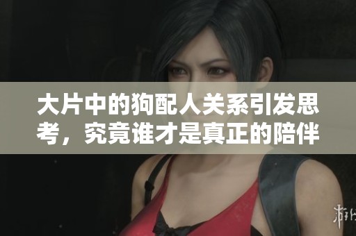 大片中的狗配人关系引发思考，究竟谁才是真正的陪伴者