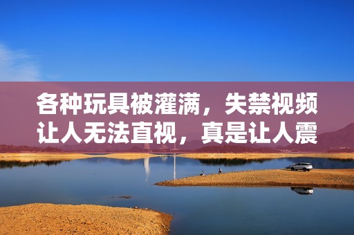 各种玩具被灌满，失禁视频让人无法直视，真是让人震惊。