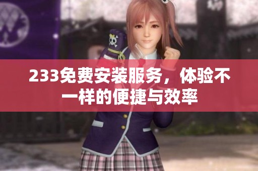 233免费安装服务，体验不一样的便捷与效率