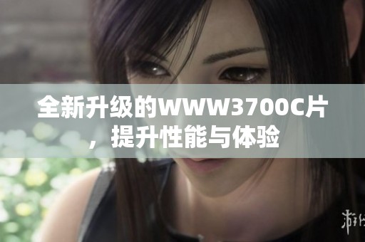 全新升级的WWW3700C片，提升性能与体验