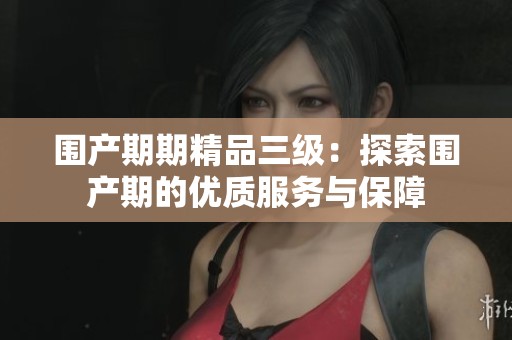 围产期期精品三级：探索围产期的优质服务与保障