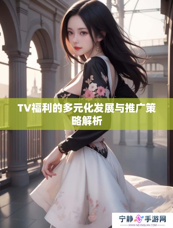 TV福利的多元化发展与推广策略解析