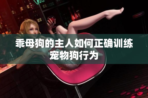 乖母狗的主人如何正确训练宠物狗行为