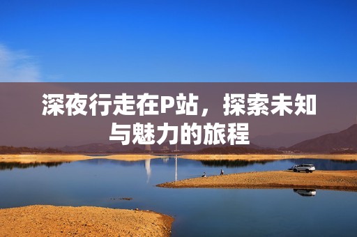 深夜行走在P站，探索未知与魅力的旅程