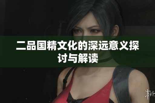 二品国精文化的深远意义探讨与解读