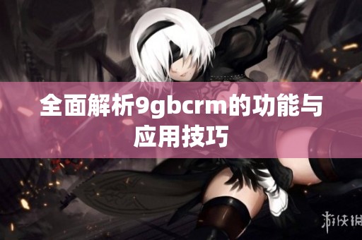 全面解析9gbcrm的功能与应用技巧