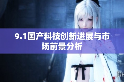 9.1国产科技创新进展与市场前景分析