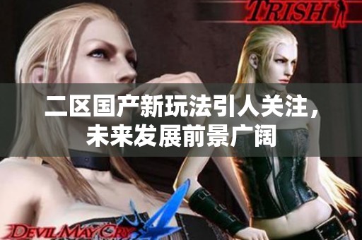 二区国产新玩法引人关注，未来发展前景广阔