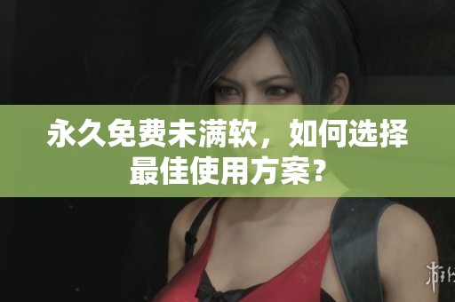 永久免费未满软，如何选择最佳使用方案？