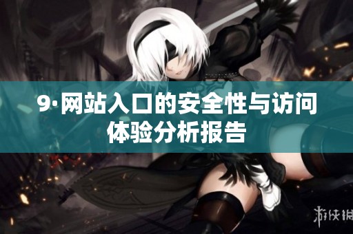 9·网站入口的安全性与访问体验分析报告