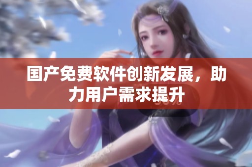 国产免费软件创新发展，助力用户需求提升