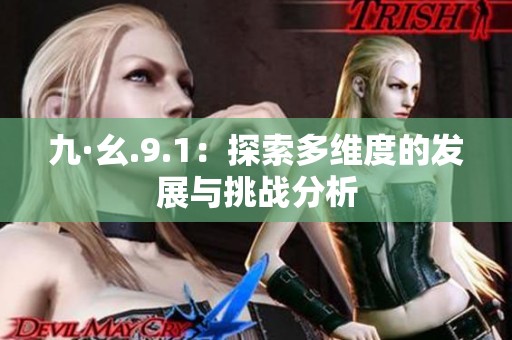 九·幺.9.1：探索多维度的发展与挑战分析