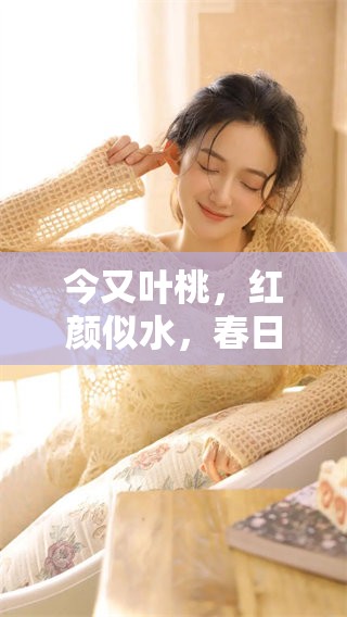 今又叶桃，红颜似水，春日情浓似梦中。