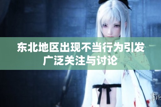 东北地区出现不当行为引发广泛关注与讨论