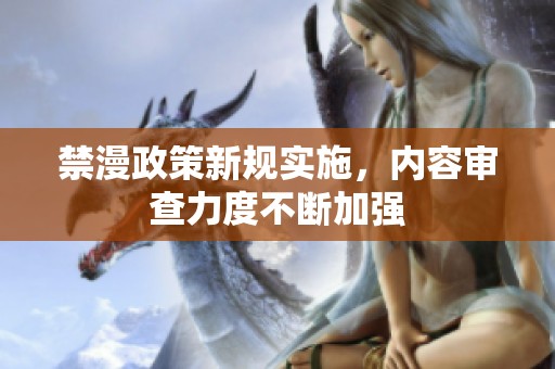禁漫政策新规实施，内容审查力度不断加强