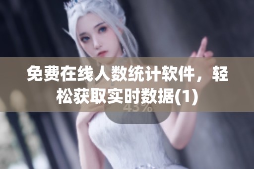 免费在线人数统计软件，轻松获取实时数据(1)