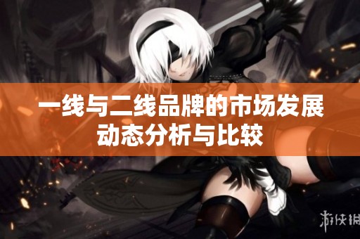 一线与二线品牌的市场发展动态分析与比较