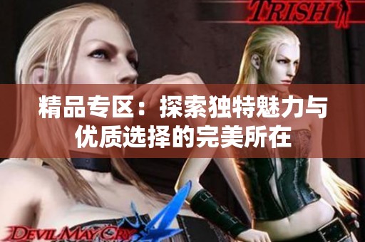 精品专区：探索独特魅力与优质选择的完美所在