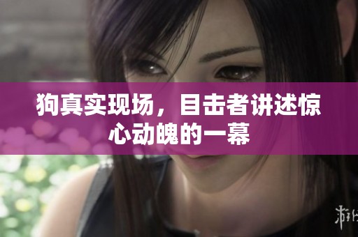 狗真实现场，目击者讲述惊心动魄的一幕