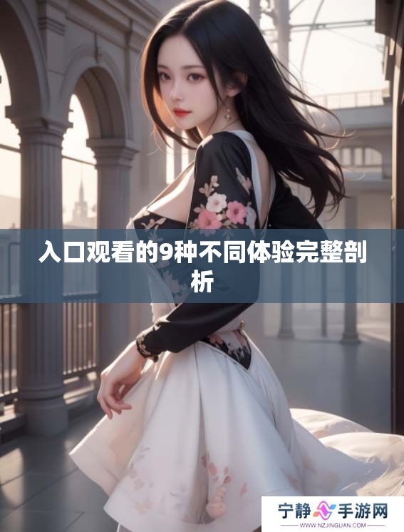 入口观看的9种不同体验完整剖析