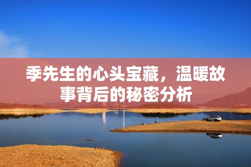 季先生的心头宝藏，温暖故事背后的秘密分析
