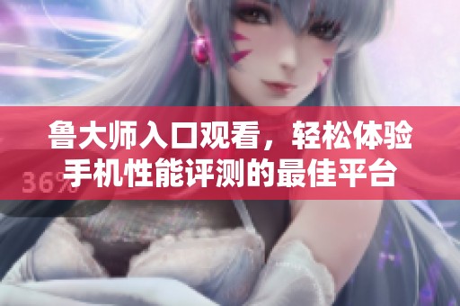 鲁大师入口观看，轻松体验手机性能评测的最佳平台